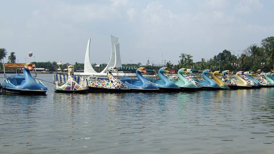 Generic lake rental Swan pedal boat