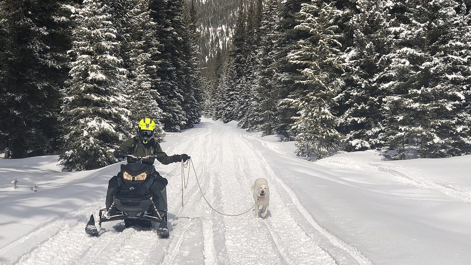 Ski-Doo Tundra 600 (towing ice shanty)